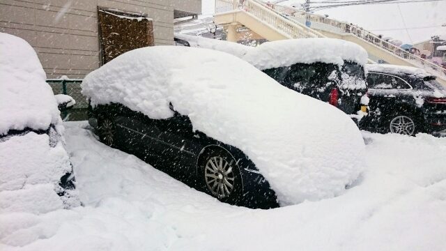 雪に埋もれる車